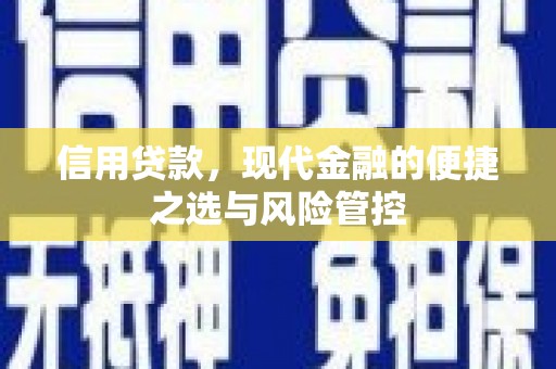五营信用贷款，现代金融的便捷之选与风险管控