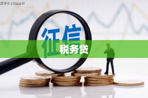 五营税务贷