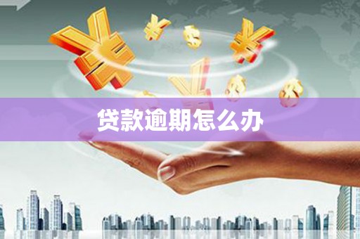 五营贷款逾期怎么办