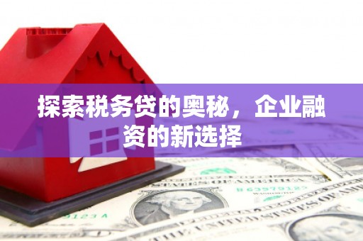 五营探索税务贷的奥秘，企业融资的新选择