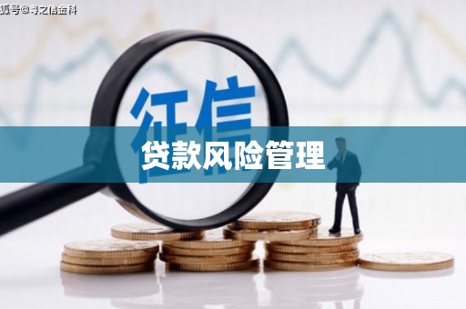 五营贷款风险管理