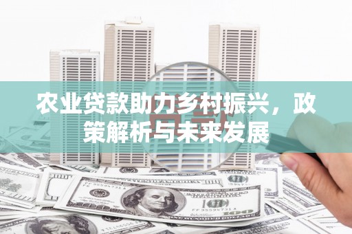 五营农业贷款助力乡村振兴，政策解析与未来发展
