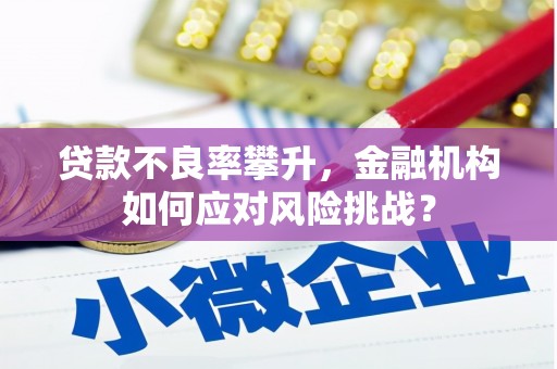 五营贷款不良率攀升，金融机构如何应对风险挑战？