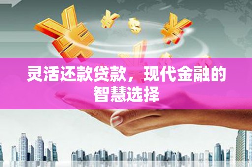 五营灵活还款贷款，现代金融的智慧选择