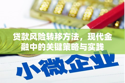 五营贷款风险转移方法，现代金融中的关键策略与实践