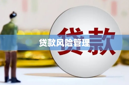 五营贷款风险管理
