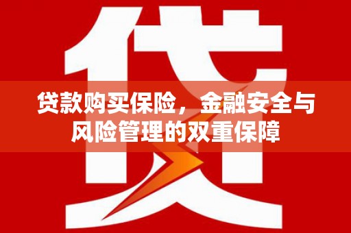 五营贷款购买保险，金融安全与风险管理的双重保障