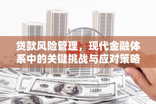 五营贷款风险管理，现代金融体系中的关键挑战与应对策略