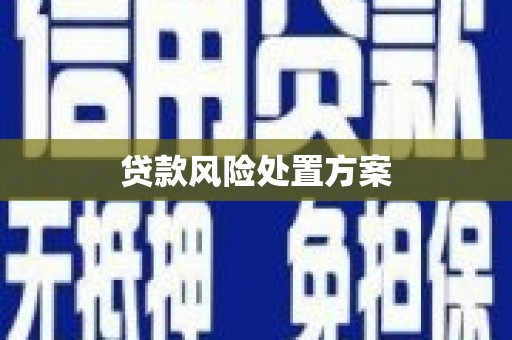 五营贷款风险处置方案