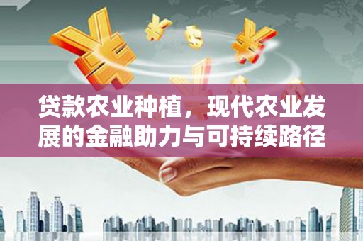 五营贷款农业种植，现代农业发展的金融助力与可持续路径