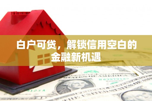 五营白户可贷，解锁信用空白的金融新机遇