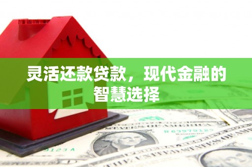 五营灵活还款贷款，现代金融的智慧选择