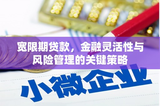 五营宽限期贷款，金融灵活性与风险管理的关键策略