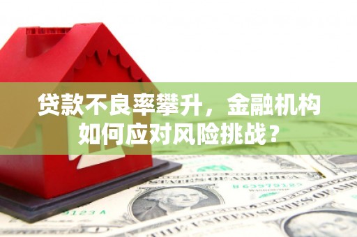 五营贷款不良率攀升，金融机构如何应对风险挑战？