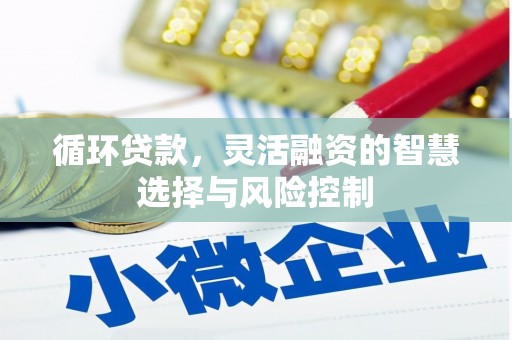 五营循环贷款，灵活融资的智慧选择与风险控制