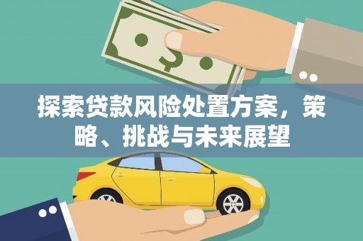 五营探索贷款风险处置方案，策略、挑战与未来展望