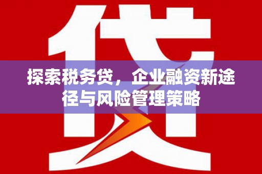 五营探索税务贷，企业融资新途径与风险管理策略