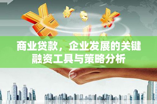 五营商业贷款，企业发展的关键融资工具与策略分析