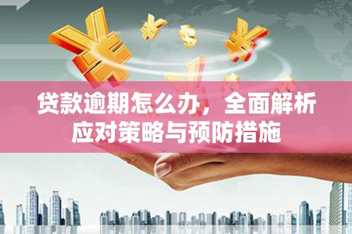 五营贷款逾期怎么办，全面解析应对策略与预防措施