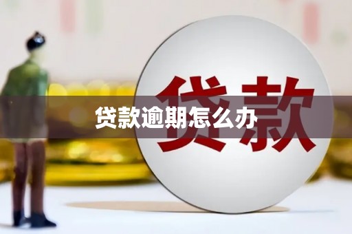 五营贷款逾期怎么办