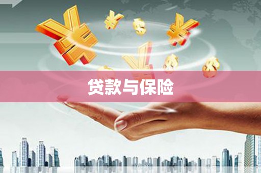五营贷款与保险