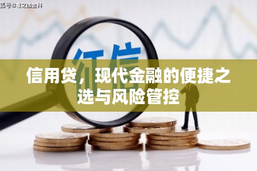 五营信用贷，现代金融的便捷之选与风险管控