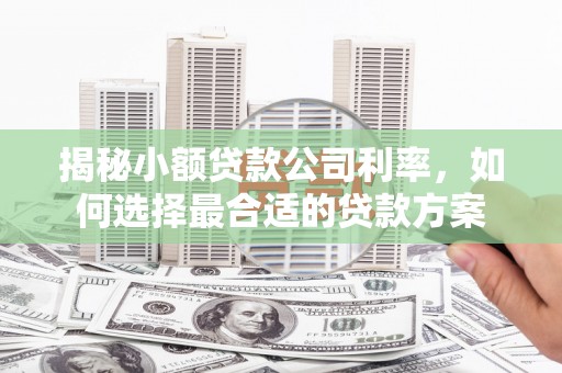 五营揭秘小额贷款公司利率，如何选择最合适的贷款方案
