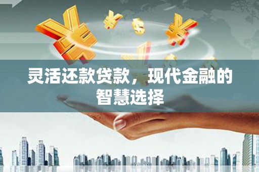 五营灵活还款贷款，现代金融的智慧选择