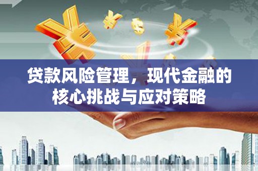 五营贷款风险管理，现代金融的核心挑战与应对策略