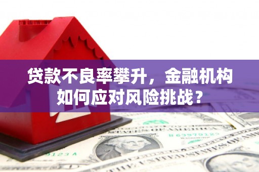 五营贷款不良率攀升，金融机构如何应对风险挑战？