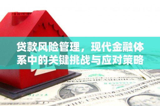 五营贷款风险管理，现代金融体系中的关键挑战与应对策略