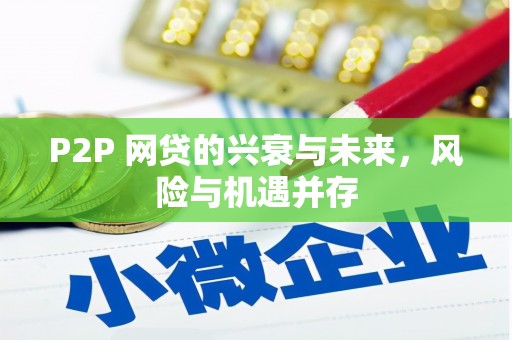 五营P2P 网贷的兴衰与未来，风险与机遇并存